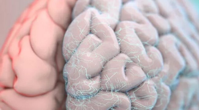 Sağlıklı yaşlanmak için bu önerilere dikkat! İşte beyni genç tutmanın 10 yolu