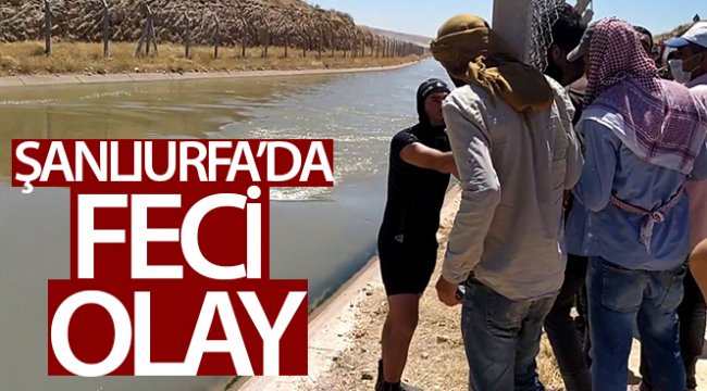 Şanlıurfa’da feci olay