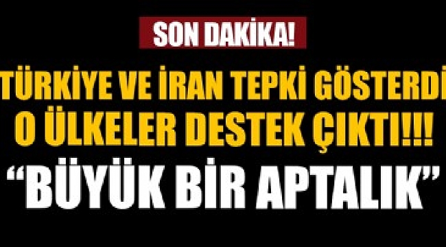 Türkiye ve İran tepki gösterdi, Almanya ile Japonya destek çıktı: Büyük bir aptallık.