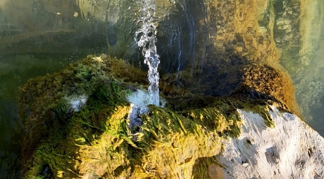 Göl çekildi kaynak pınarlar ortaya çıktı.