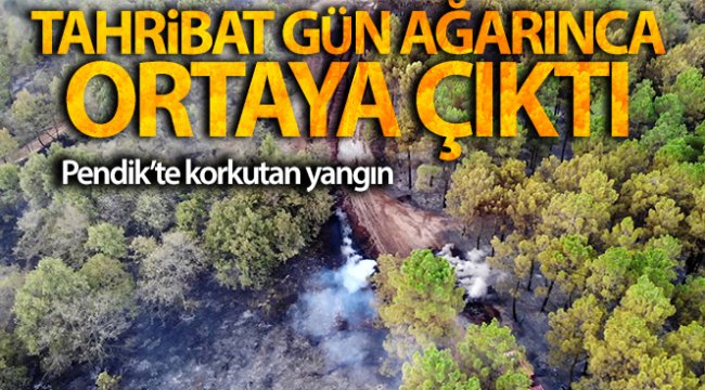 Pendik’te yangının tahribatı gün ağarınca ortaya çıktı
