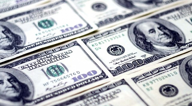 Son Dakika: Dolar 7,43 ile tüm zamanların en yüksek seviyesinden işlem görüyor.