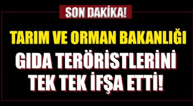 Tarım ve Orman Bakanlığı hileli ürün üreten 91 firmayı ifşa etti.