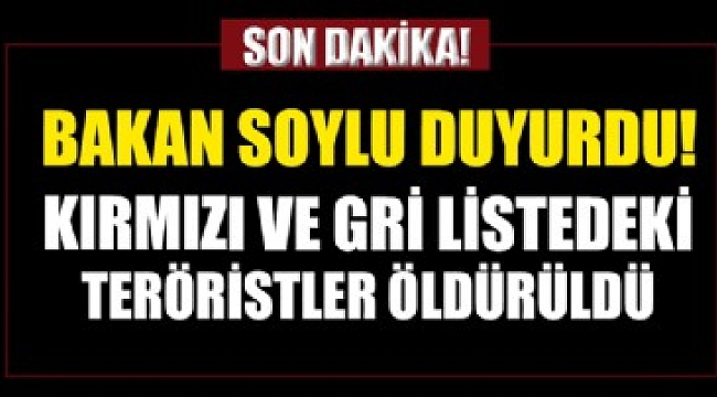Terör örgütüne ağır darbe! Kırmızı ve Gri kategorideki teröristler öldürüldü....