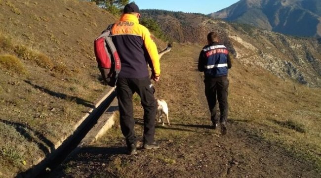 Artvin’de çam sakızı toplamak için ormana giden yaşlı adam ölü bulundu