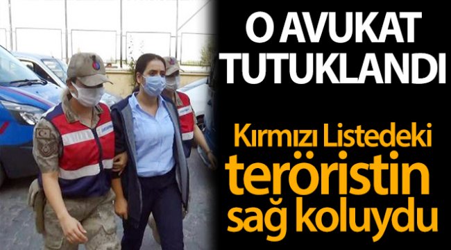 Kırmızı kategoride aranan teröristin sağ kolu olan avukat tutuklandı