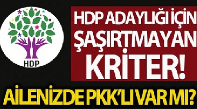 HDP adaylığı için PKK'ya yakınlık referans kabul edidi