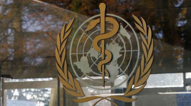 14 ülkeden DSÖ'nün koronavirüs raporuna tepki