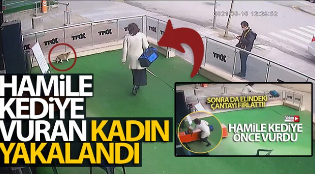 Hamile kediye vuran kadın yakalandı