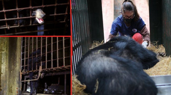 Korkunç şartlarda insanlık dışı muamele gördüler! 17 yıl sonra gün ışığına kavuştular