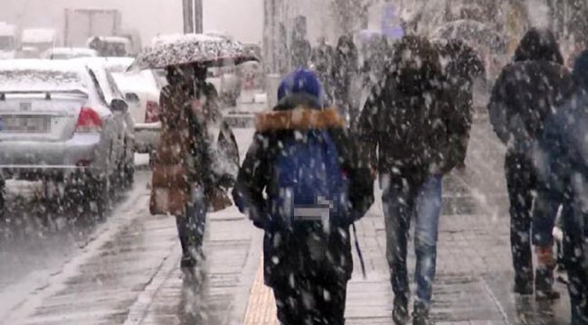 Muş&#039;ta mart karı