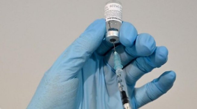 Son dakika... Rusya duyurdu: Hayvanlar için dünyanın ilk koronavirüs aşısı tescil edildi