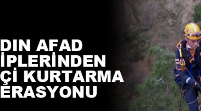 Aydın'da mahsur kalan keçi kurtarıldı