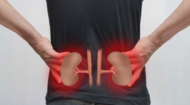 Böbrek kanseri hedefe yönelik tedavilerle kontrol altına alınabilir