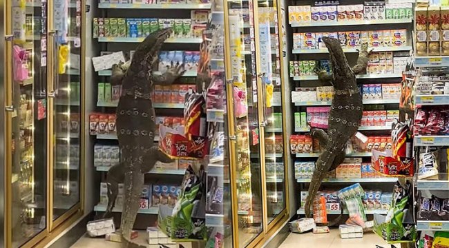 Dünya bu görüntüleri konuşuyor... Markette dehşet anları!