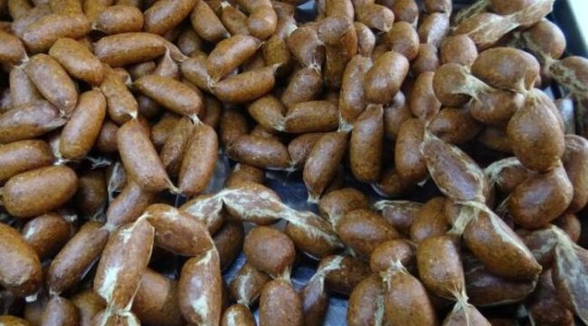 Dünyada geniş yankı uyandıran araştırma: İşlenmiş et, Alzheimer riskini yüzde 44 artırıyor