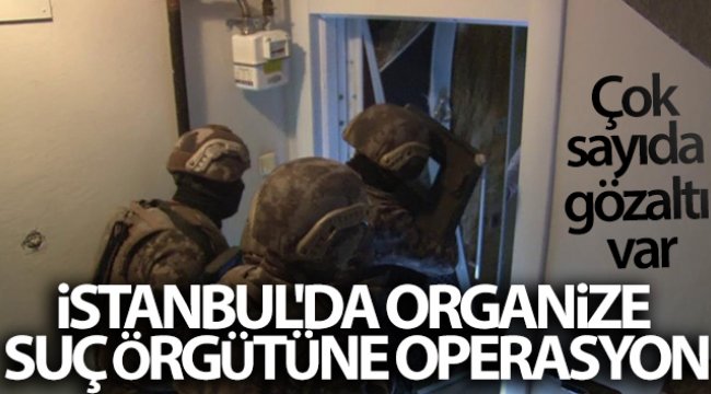 İstanbul&#039;da organize suç örgütüne operasyon: Çok sayıda gözaltı var