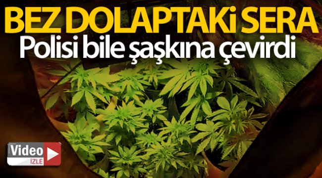 İstanbul’un göbeğinde 'bez dolaptaki' uyuşturucu serasına baskın kamerada