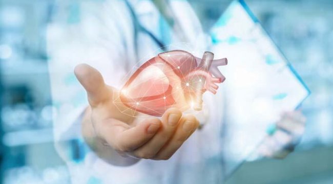 Kalp ameliyatlarında 'Ozaki' dönemi