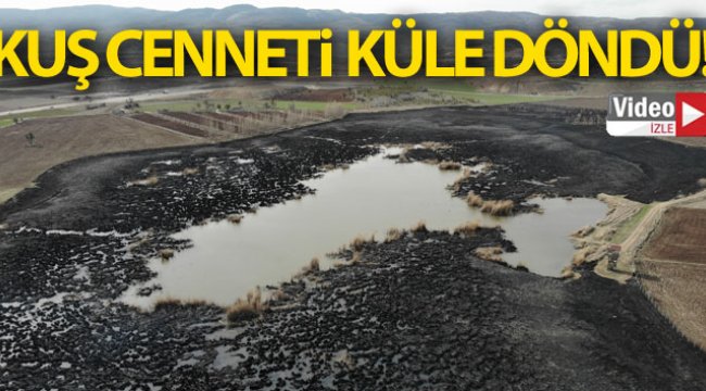 Kül olan Gölünyazı Kuş Cenneti havadan görüntülendi