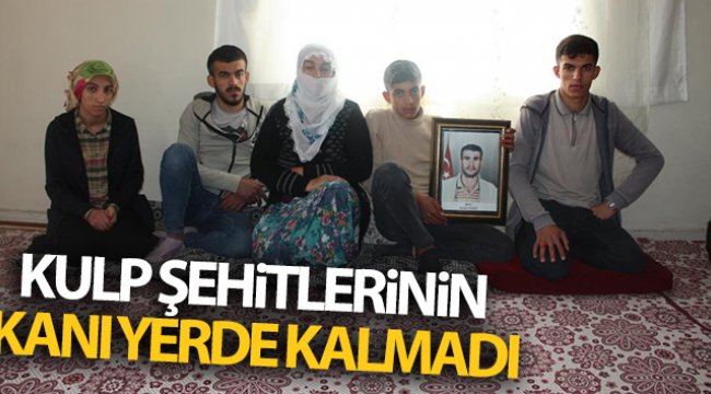 Kulp şehitlerinin kanı yerde kalmadı