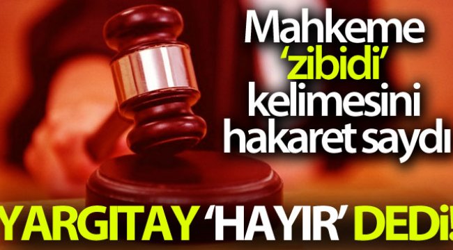 Mahkeme "zibidi" kelimesini hakaret saydı, Yargıtay "hayır" dedi