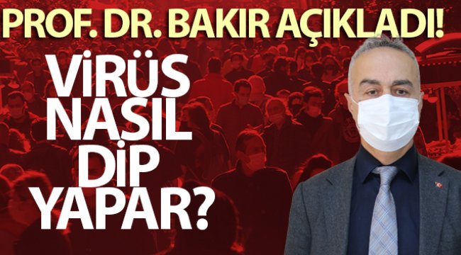 Prof. Dr. Bakır açıkladı! Virüs nasıl dip yapar?