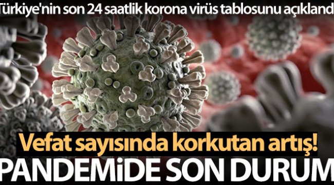 Sağlık Bakanlığı, Türkiye'nin son 24 saatlik korona virüs tablosunu açıkladı