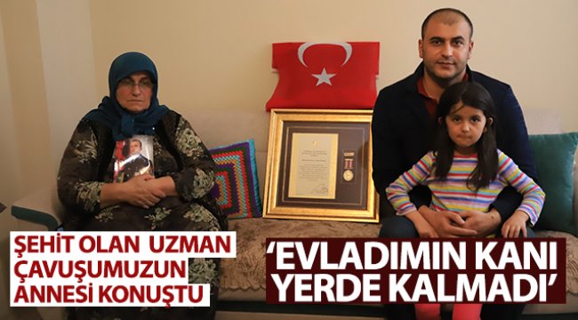 Şehit olan Piyade Uzman Çavuş Tayfur Hançer'in annesi konuştu! 'Evladımın kanı yerde kalmadı'