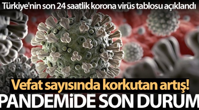 Son 24 saatte korona virüsten 318 kişi hayatını kaybetti
