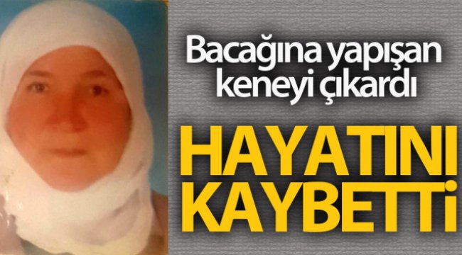Bacağına yapışan keneyi çıkardı, 1 hafta sonra hayatını kaybetti