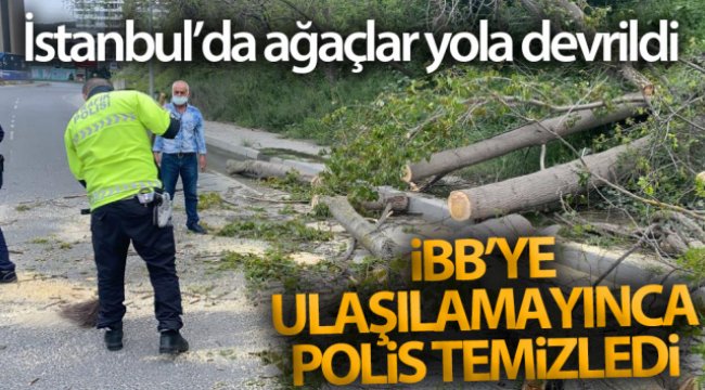 İstanbul’da ağaçlar yola devrildi: İBB’ye ulaşılamayınca polis temizledi