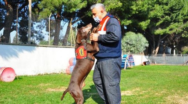 Jandarmanın ‘Volta’sı emekli oldu