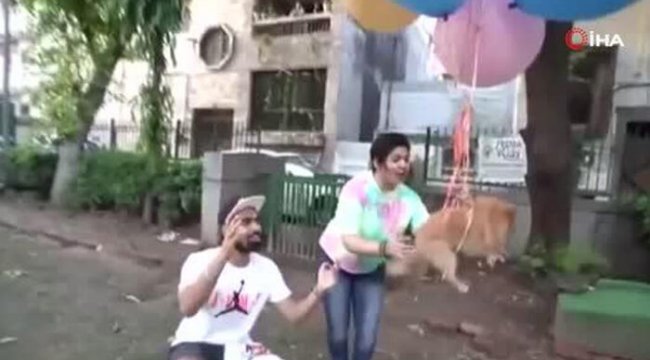 Köpeğine balon bağlayıp uçuran sosyal medya fenomeni gözaltına alındı