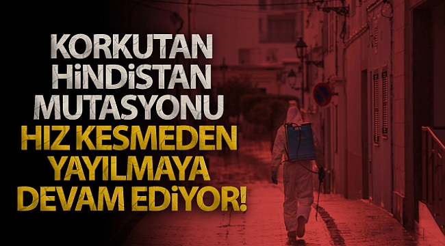 Korona virüsün Hindistan mutasyonu Polonya ve Endonezya'da görüldü.