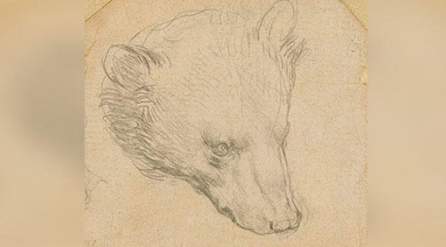 Leonardo da Vinci&#039;nin çizimi servet değerinde satılacak