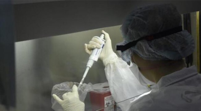 Arjantin’de Kovid-19 bağlantılı ilk Siyah Mantar vakası açıklandı