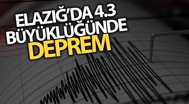 Elazığ'da 4.3 büyüklüğünde deprem.