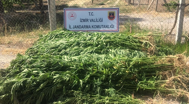 İzmir'de uyuşturucu operasyonu: 7 gözaltı.