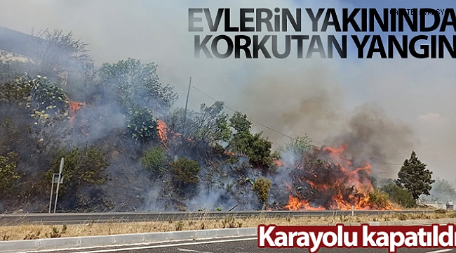 Muğla'da ormana sıçrayan yangın söndürüldü.