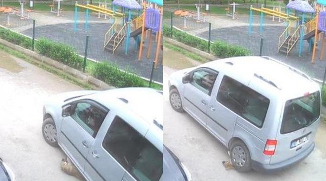 Yolda yatan köpeği ezdi, ardına bile bakmadan yoluna devam etti