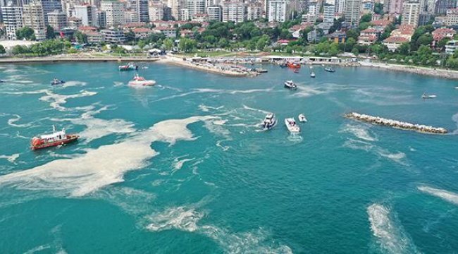 3 senelik eylem planı! Müsilaj problemine ilişkin Bakan Kurum'dan açıklama