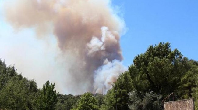 Adana’da 4 ilçedeki 6 noktada orman yangını! Yoğun çalışma sürüyor