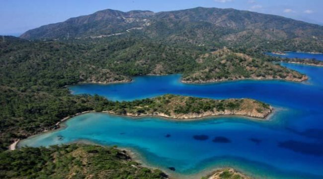 Alavara Koyu ile ilgili karar iptal edildi, çevreciler sevindi