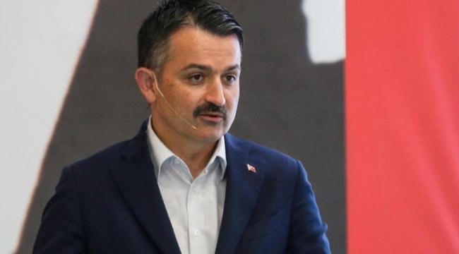Marmara'daki balıklarda sorun mu var? Bakan Pakdemirli'den kritik açıklama