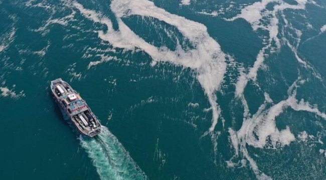 Müsilaj Araştırma Komisyonu yaz aylarında çalışacak