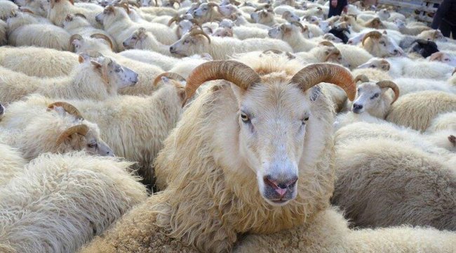 Son dakika: Bayram tatili belli oldu mu? Bayram tatili 11 gün mü?