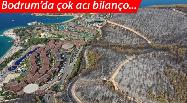 Son dakika: İşte Bodrum'daki yangının acı bilançosu... Yanan alan havadan görüntülendi: Tamamen kül oldu