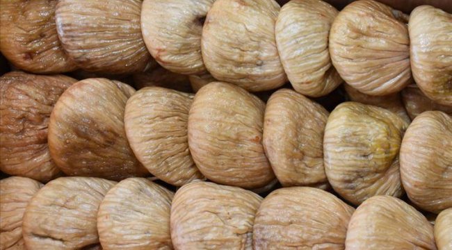 Aydın&#039;da sezonun ilk kuru inciri kilosu 250 liradan satıldı