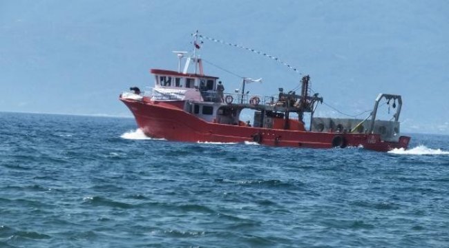 Balık çeşitliliğini arttırmak için denize yapay resifler bırakılıyor